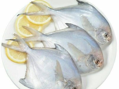 Hec59259103f148f184a9c8e7ff50c3811