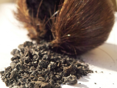 Deer-Musk-6-600x721-1