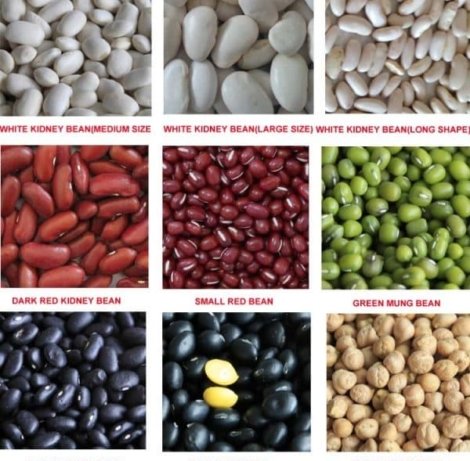 Kidney-Beans-600x640-1